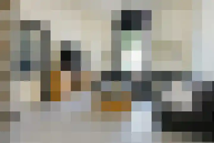 Harmenjansweg 14 Haarlem thumbnail 4