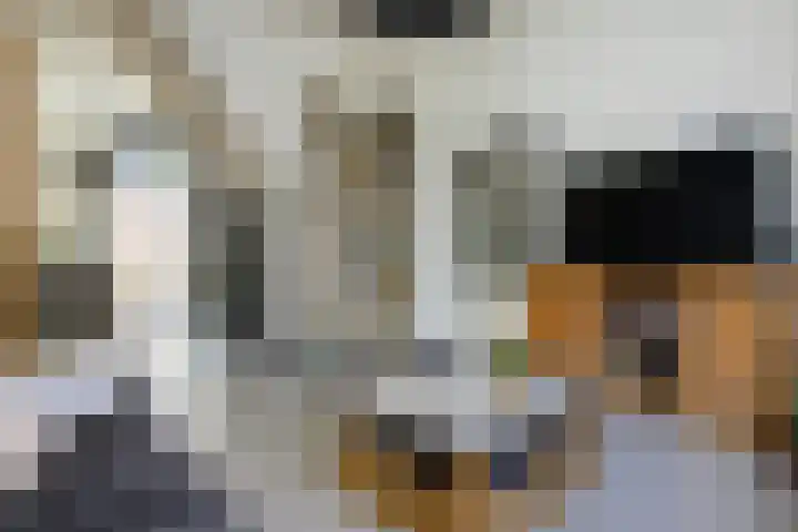 Harmenjansweg 14 Haarlem thumbnail 5