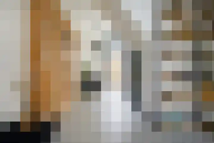 Harmenjansweg 14 Haarlem thumbnail 6