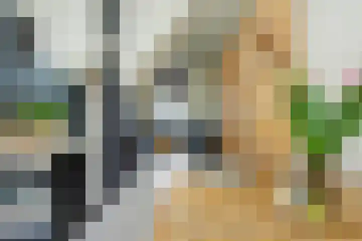 Harmenjansweg 14 Haarlem thumbnail 9