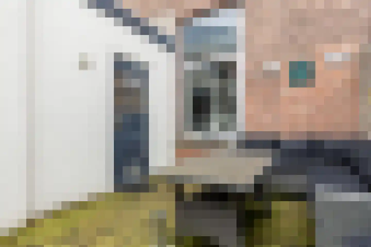 Harmenjansweg 18 Haarlem thumbnail 13