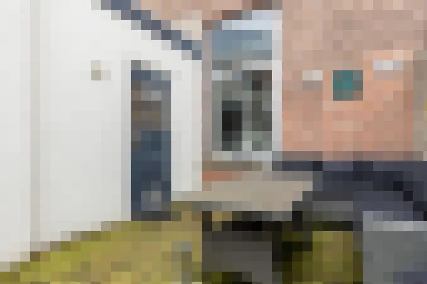 Harmenjansweg 18 Haarlem thumbnail 13