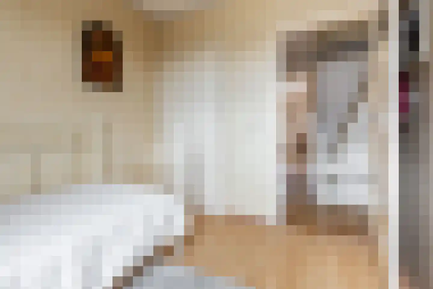 Harmenjansweg 18 Haarlem thumbnail 19