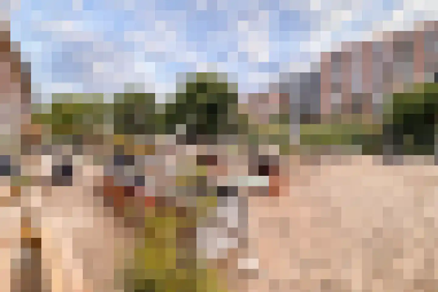Harmenjansweg 18 Haarlem thumbnail 31