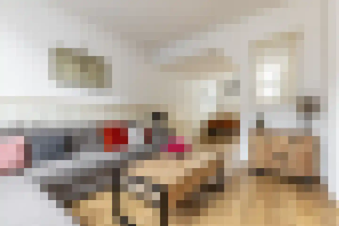 Harmenjansweg 18 Haarlem thumbnail 4