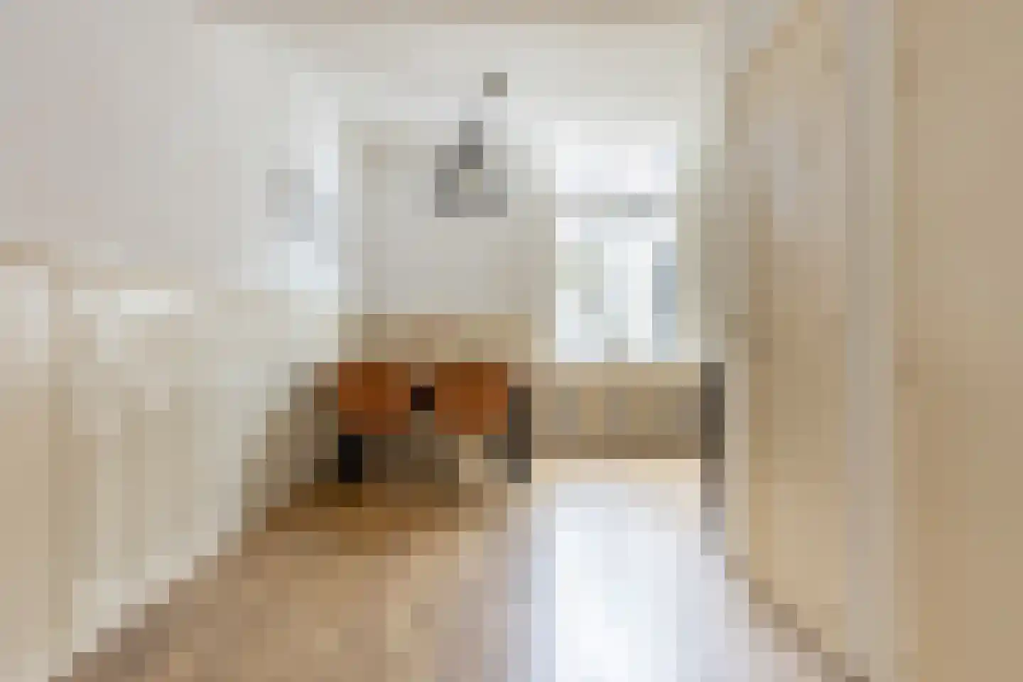 Harmenjansweg 18 Haarlem thumbnail 6