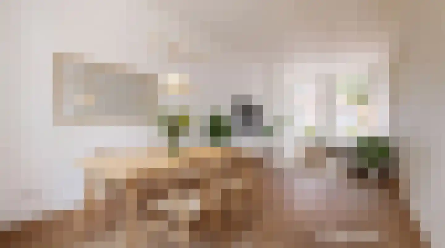 Harmenjansweg 63 Haarlem thumbnail 12
