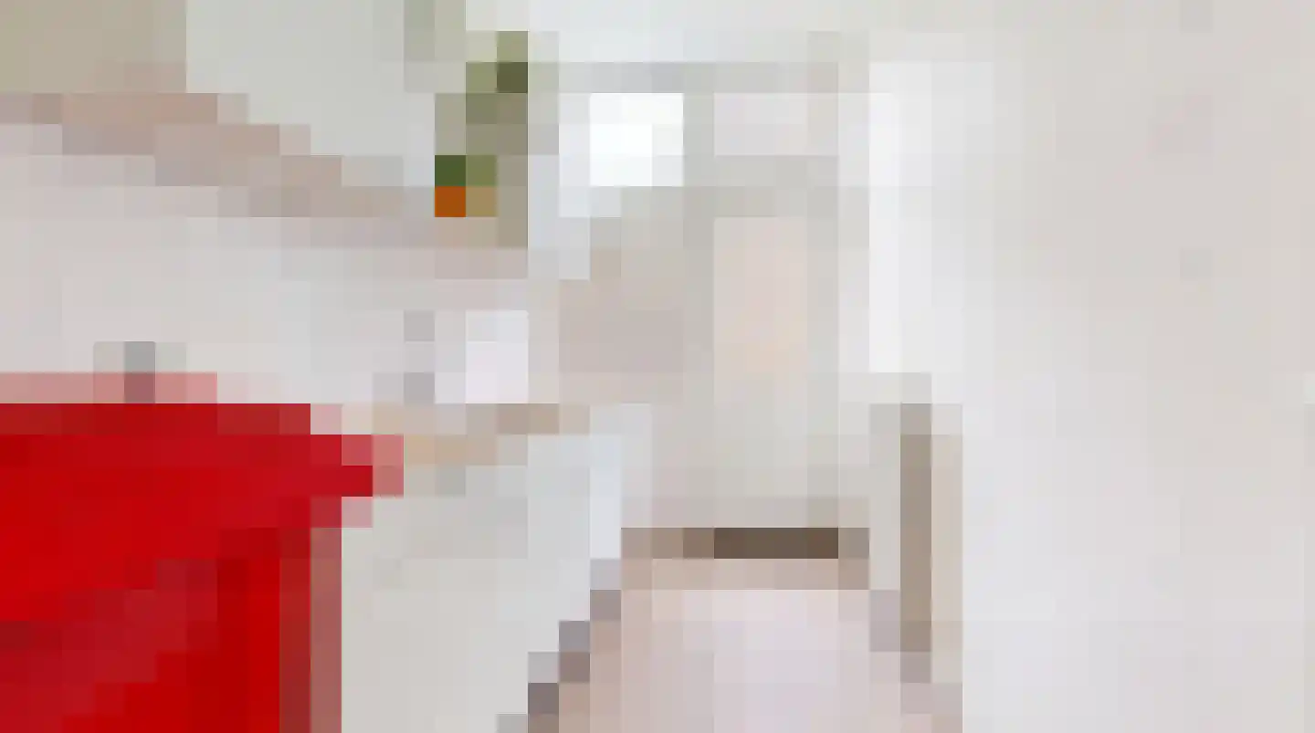 Harmenjansweg 63 Haarlem thumbnail 13