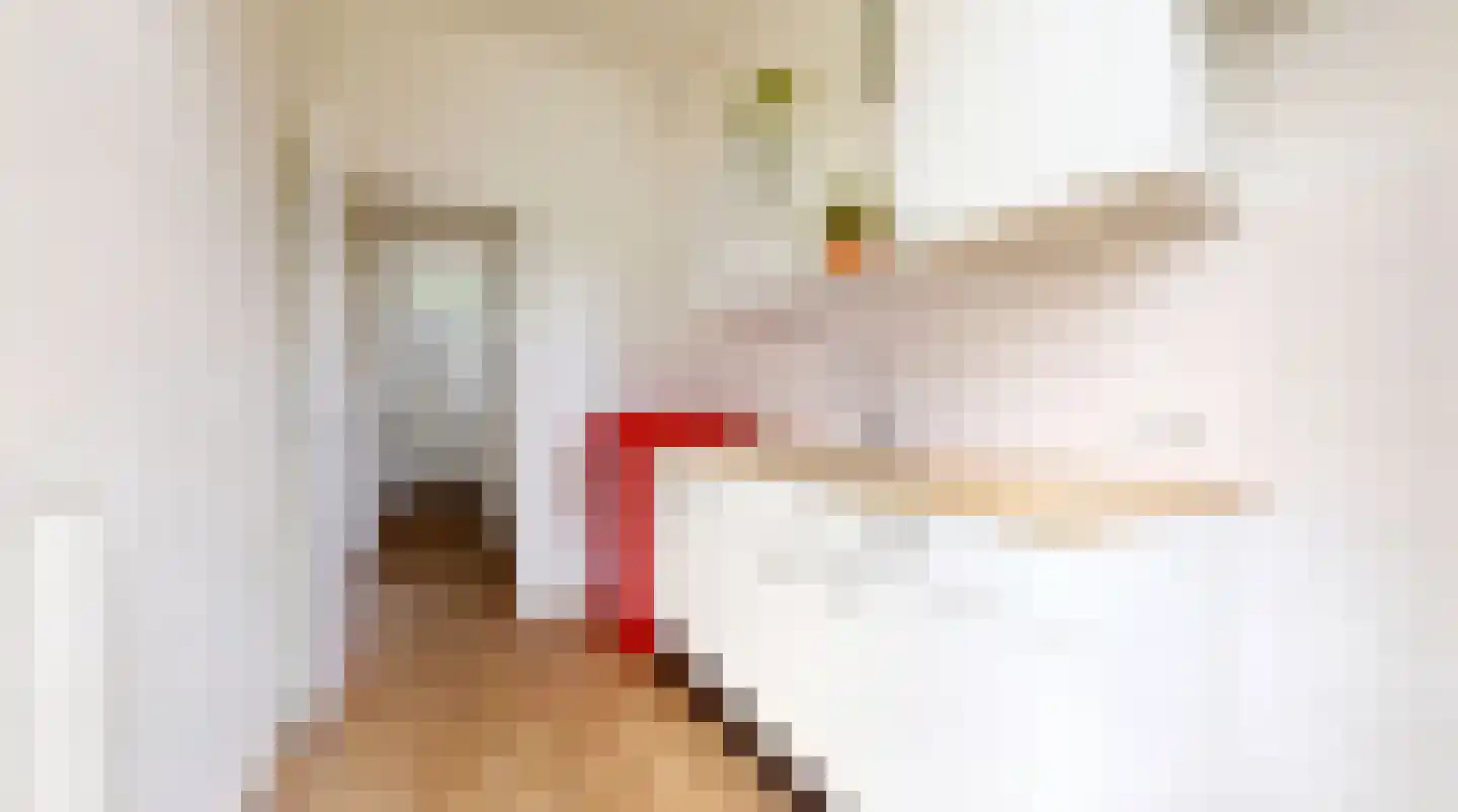 Harmenjansweg 63 Haarlem thumbnail 14