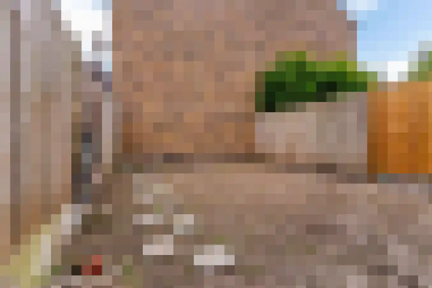 Harmenjansweg 63 Haarlem thumbnail 15