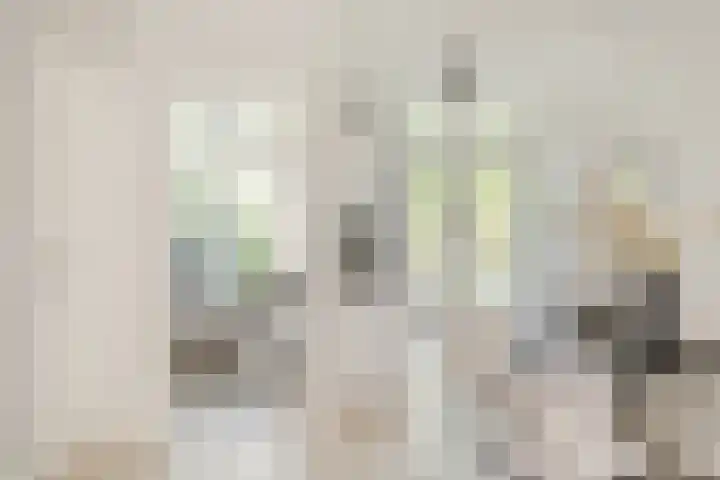 Harmenjansweg 67 Haarlem thumbnail 10