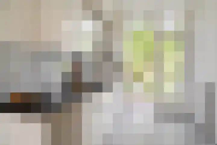 Harmenjansweg 67 Haarlem thumbnail 12