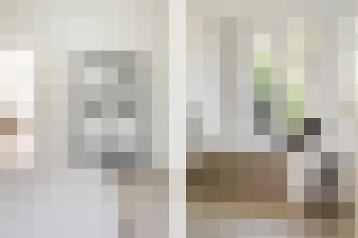 Harmenjansweg 67 Haarlem thumbnail 16