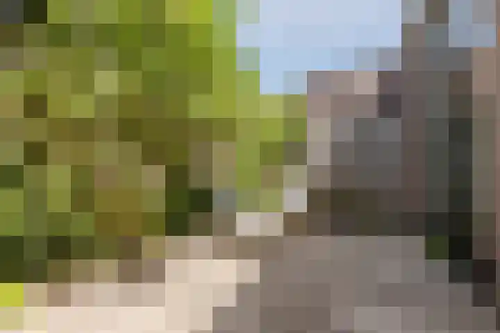 Harmenjansweg 67 Haarlem thumbnail 4
