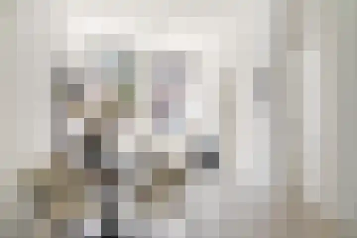 Harmenjansweg 67 Haarlem thumbnail 6