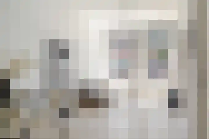 Harmenjansweg 67 Haarlem thumbnail 7