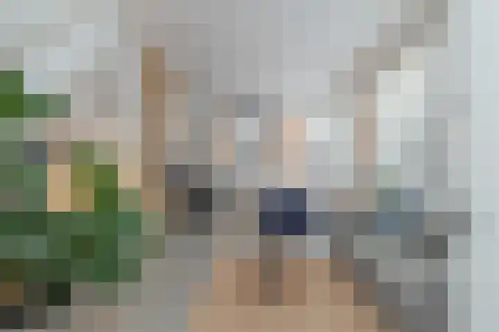 Harmenjansweg 81 Haarlem thumbnail 10