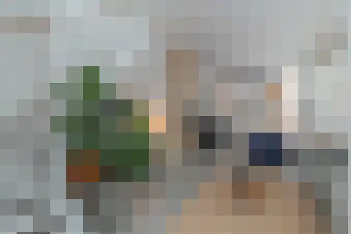 Harmenjansweg 81 Haarlem thumbnail 11