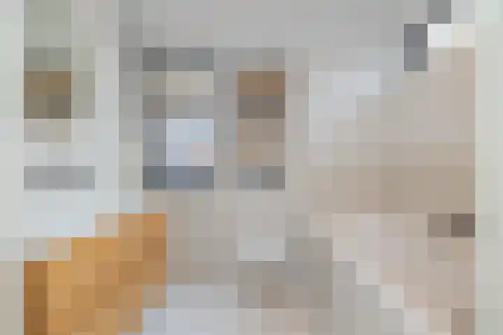 Harmenjansweg 81 Haarlem thumbnail 28