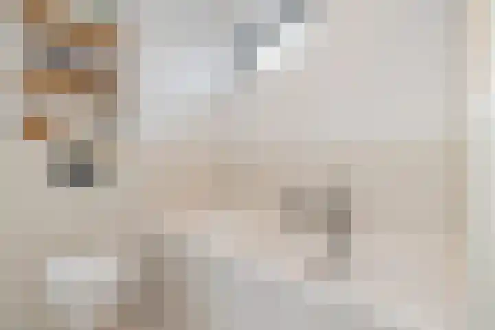 Harmenjansweg 81 Haarlem thumbnail 29