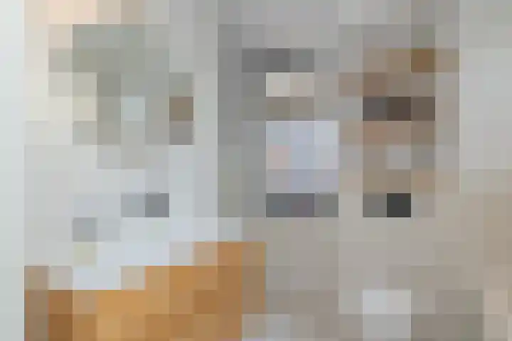 Harmenjansweg 81 Haarlem thumbnail 30