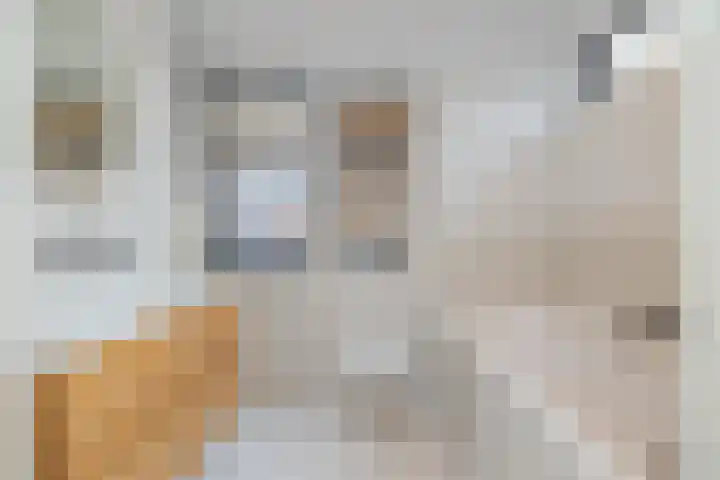 Harmenjansweg 81 Haarlem thumbnail 4