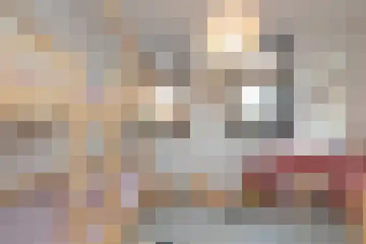 Harmenjansweg 81 Haarlem thumbnail 41