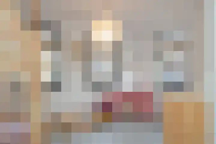 Harmenjansweg 81 Haarlem thumbnail 42