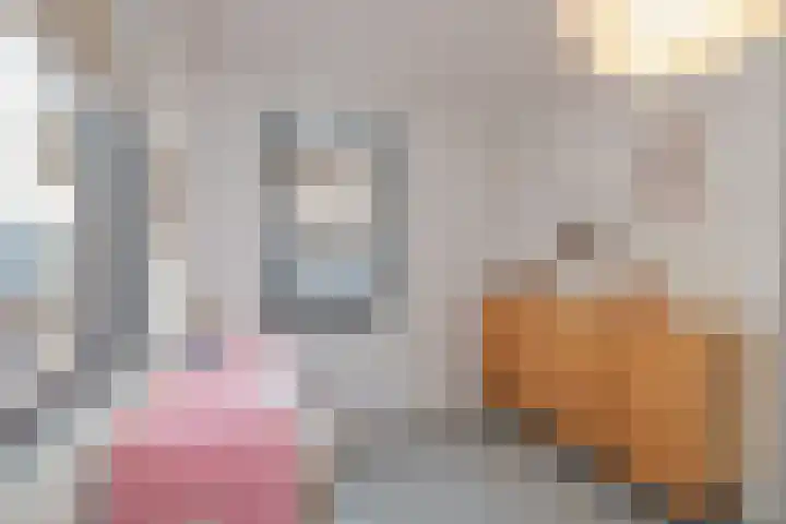 Harmenjansweg 81 Haarlem thumbnail 43