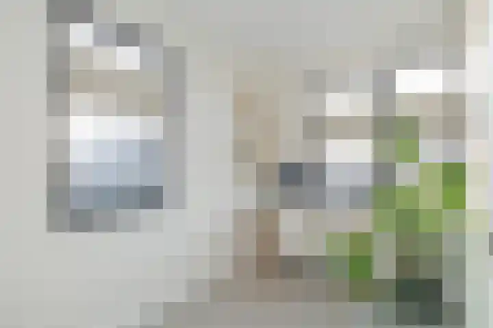Harmenjansweg 81 Haarlem thumbnail 46