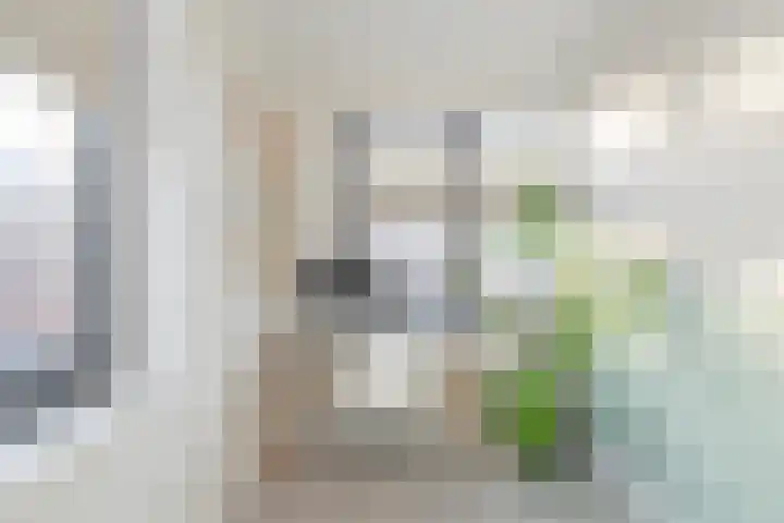 Harmenjansweg 81 Haarlem thumbnail 47