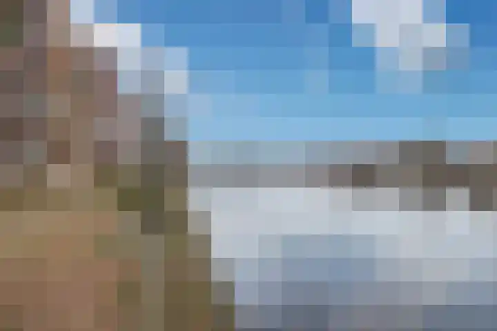 Harmenjansweg 81 Haarlem thumbnail 59