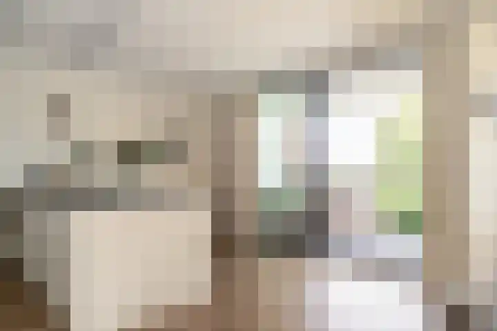 Harmenjansweg 87 K Haarlem thumbnail 20