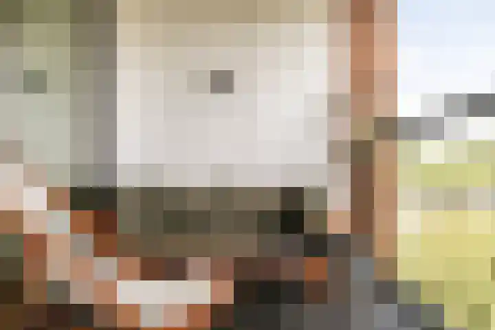Harmenjansweg 87 K Haarlem thumbnail 23