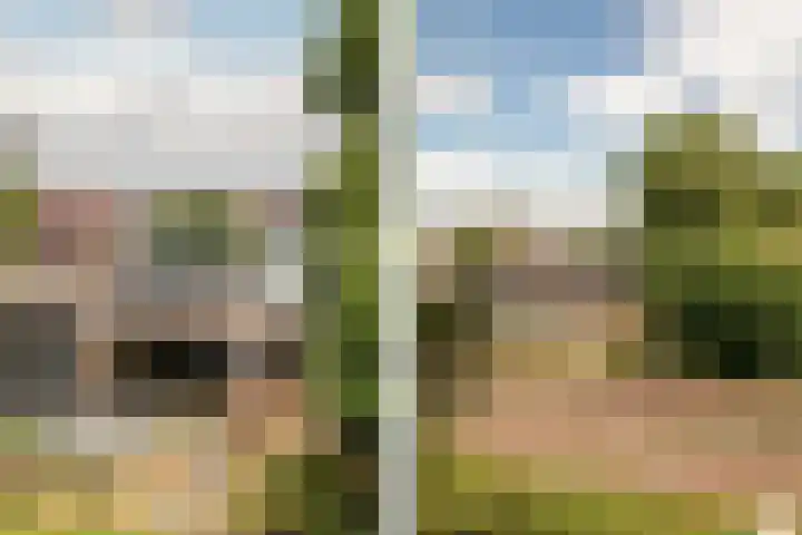 Harmenjansweg 87 K Haarlem thumbnail 31