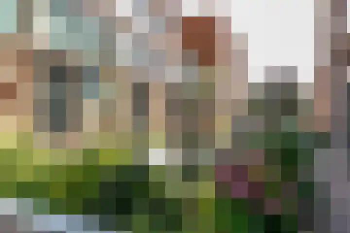 Harmenjansweg 87 K Haarlem thumbnail 32