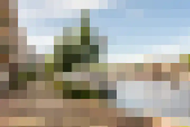 Harmenjansweg 87 K Haarlem thumbnail 34