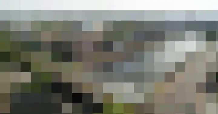 Harmenjansweg 87 K Haarlem thumbnail 37