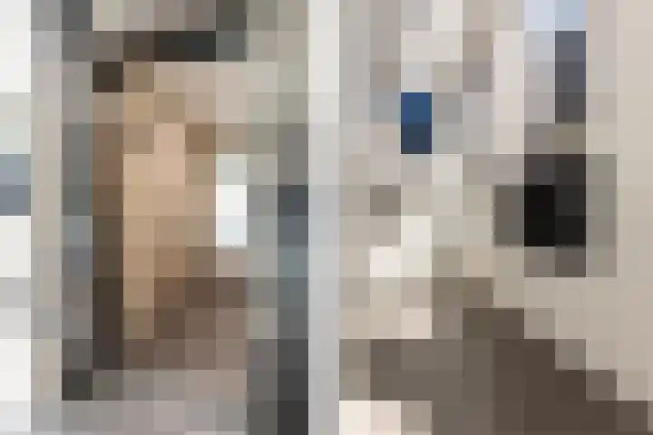 Harmenjansweg 87 K Haarlem thumbnail 7
