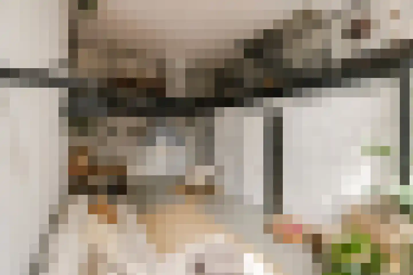 Harmenjansweg 89 Haarlem thumbnail 10