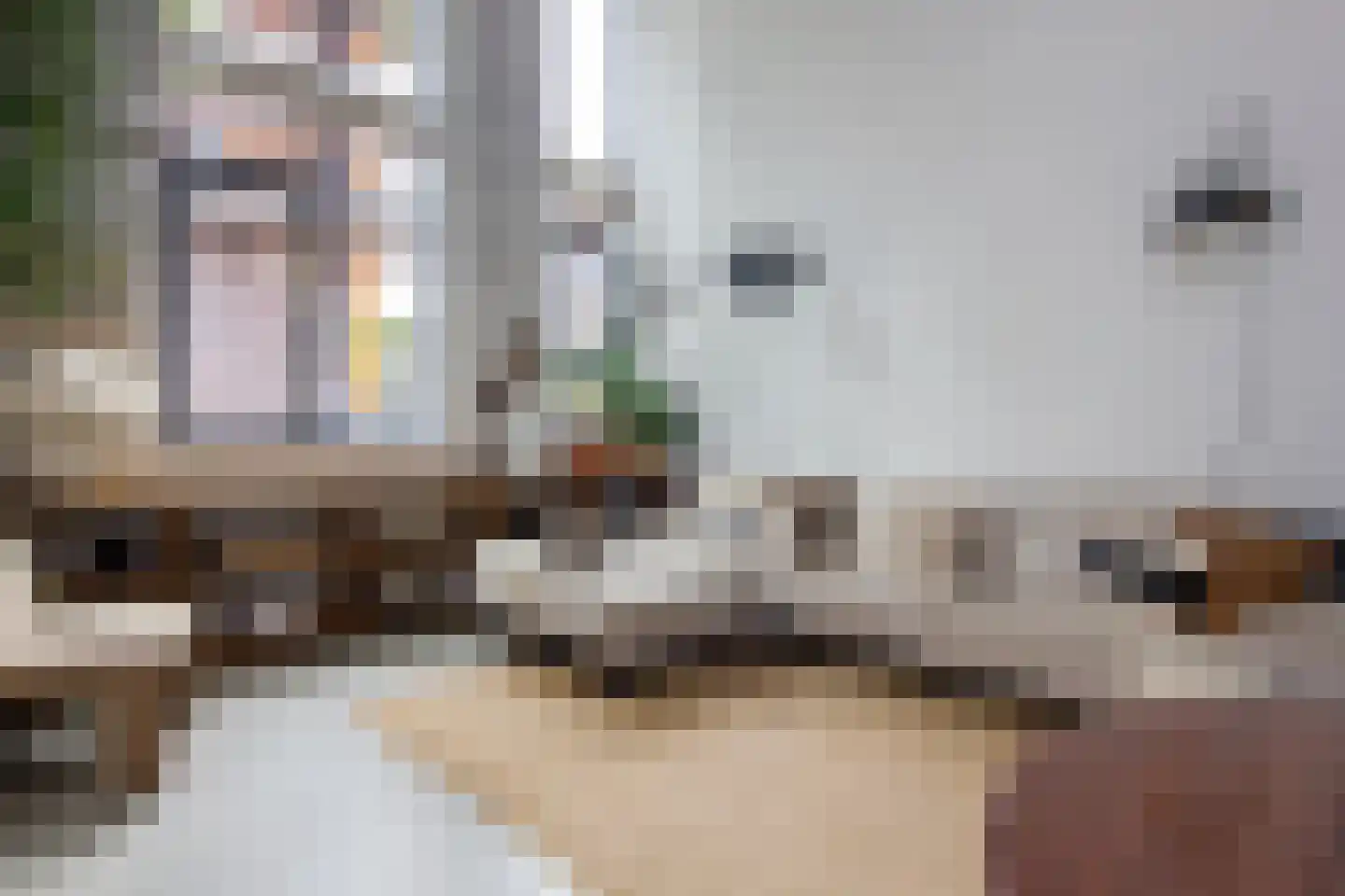 Harmenjansweg 89 Haarlem thumbnail 22