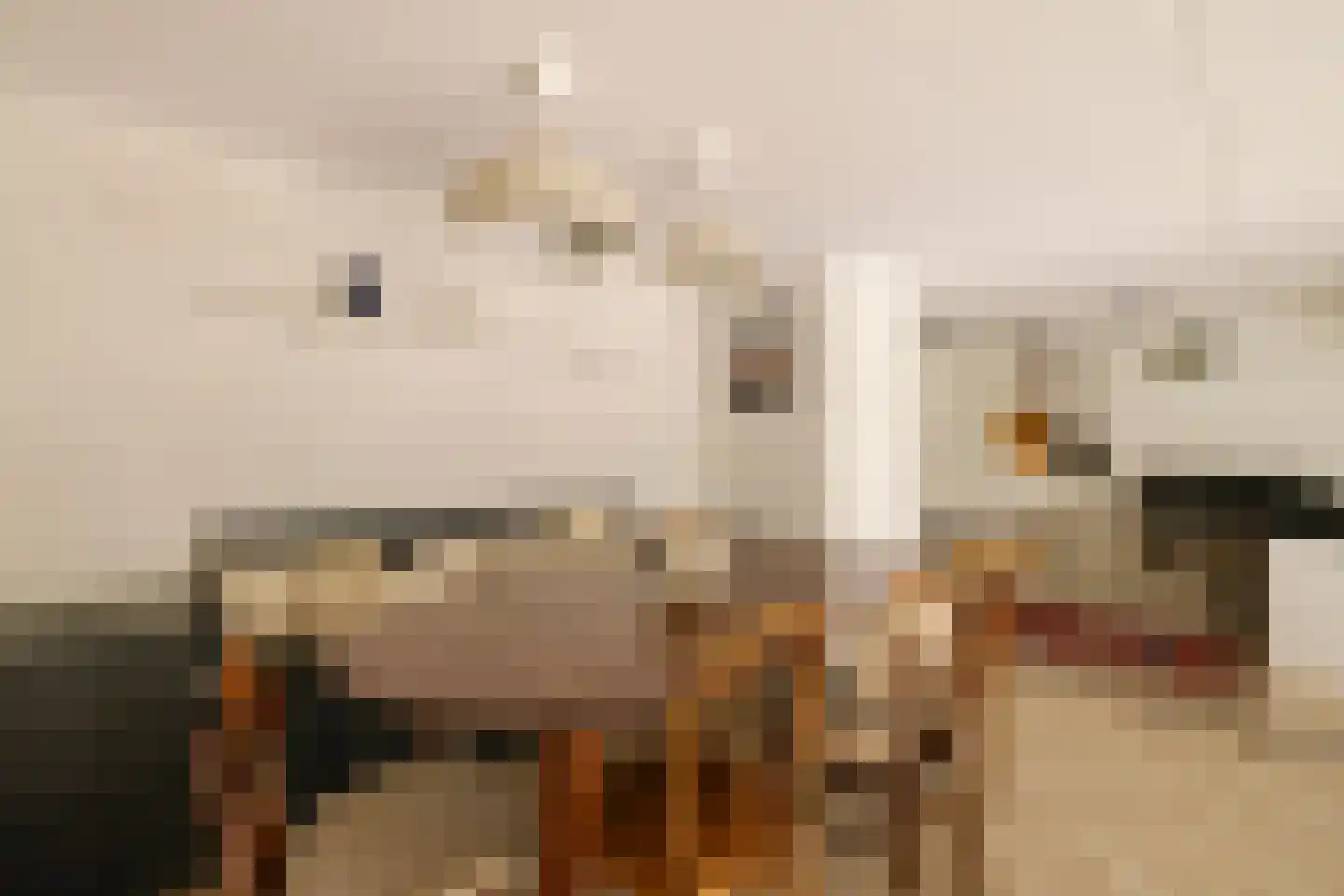 Harmenjansweg 89 Haarlem thumbnail 24