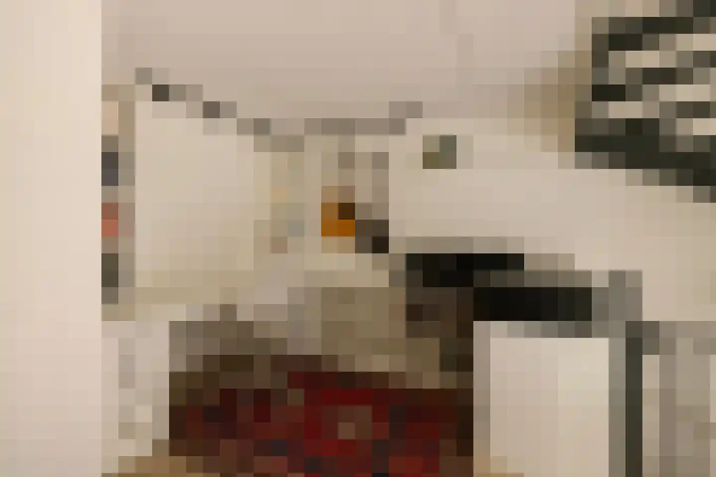 Harmenjansweg 89 Haarlem thumbnail 25