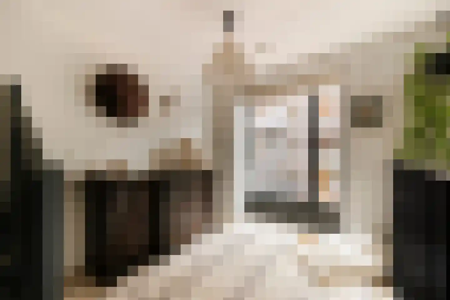 Harmenjansweg 89 Haarlem thumbnail 26