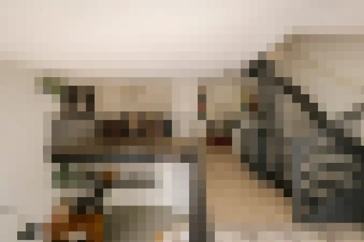 Harmenjansweg 89 Haarlem thumbnail 27