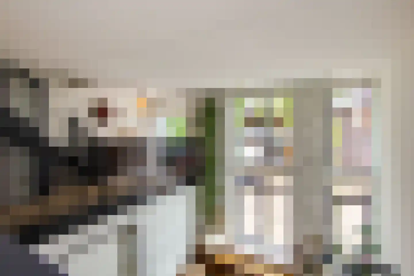 Harmenjansweg 89 Haarlem thumbnail 28