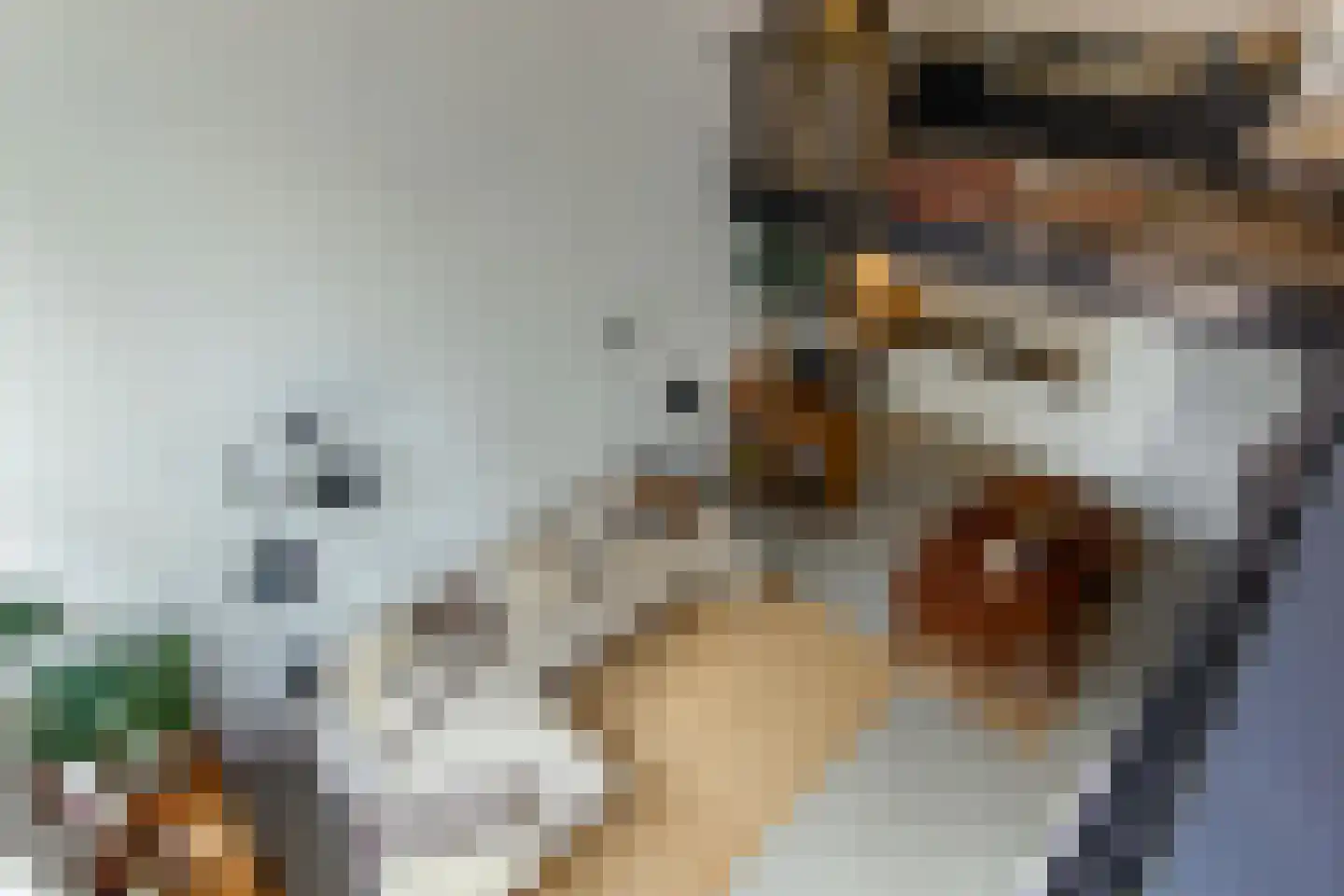 Harmenjansweg 89 Haarlem thumbnail 29