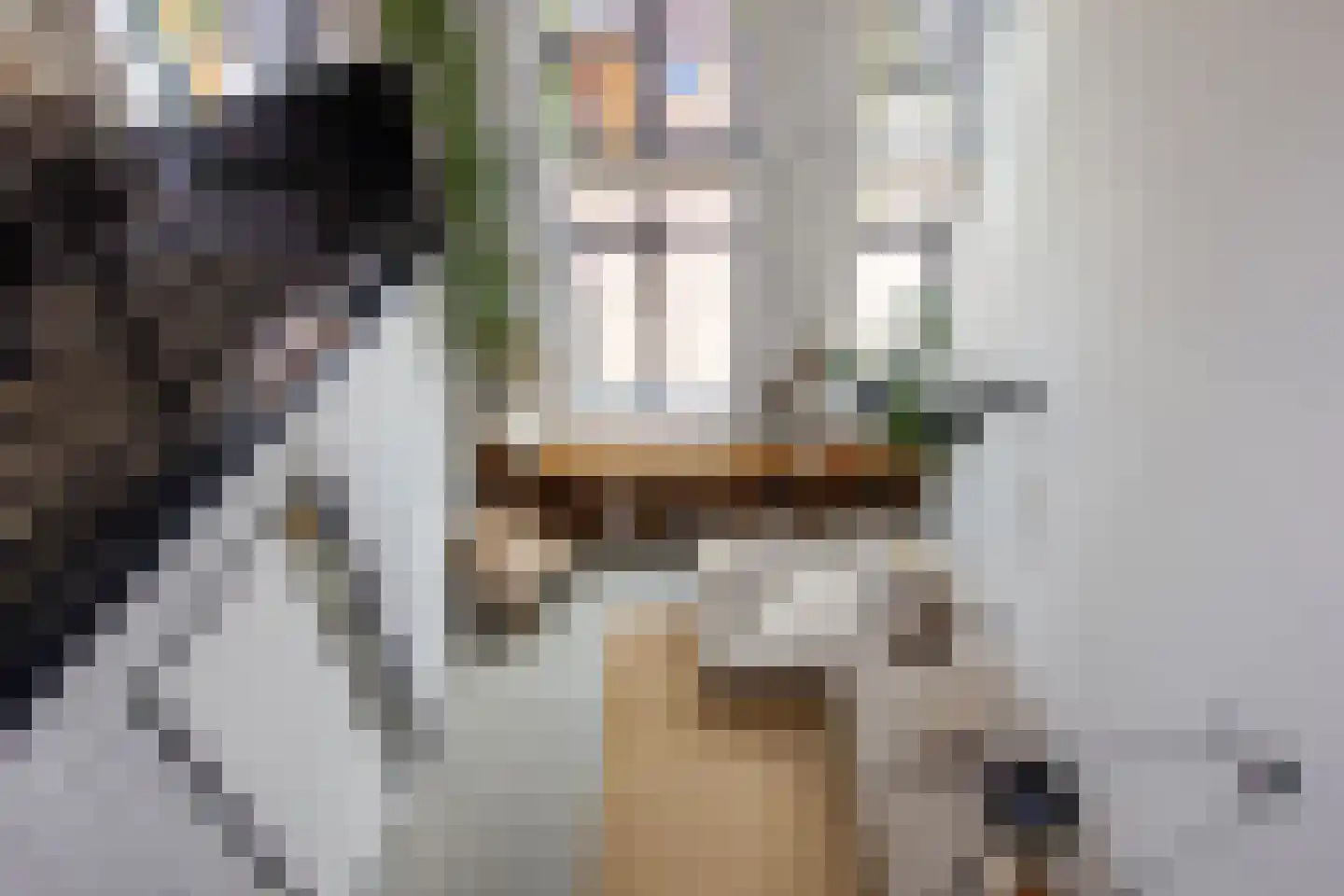 Harmenjansweg 89 Haarlem thumbnail 32