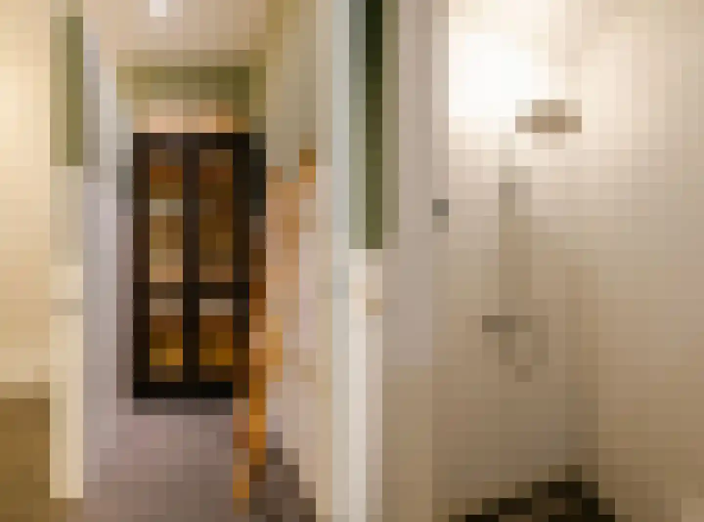 Harmenjansweg 89 Haarlem thumbnail 39