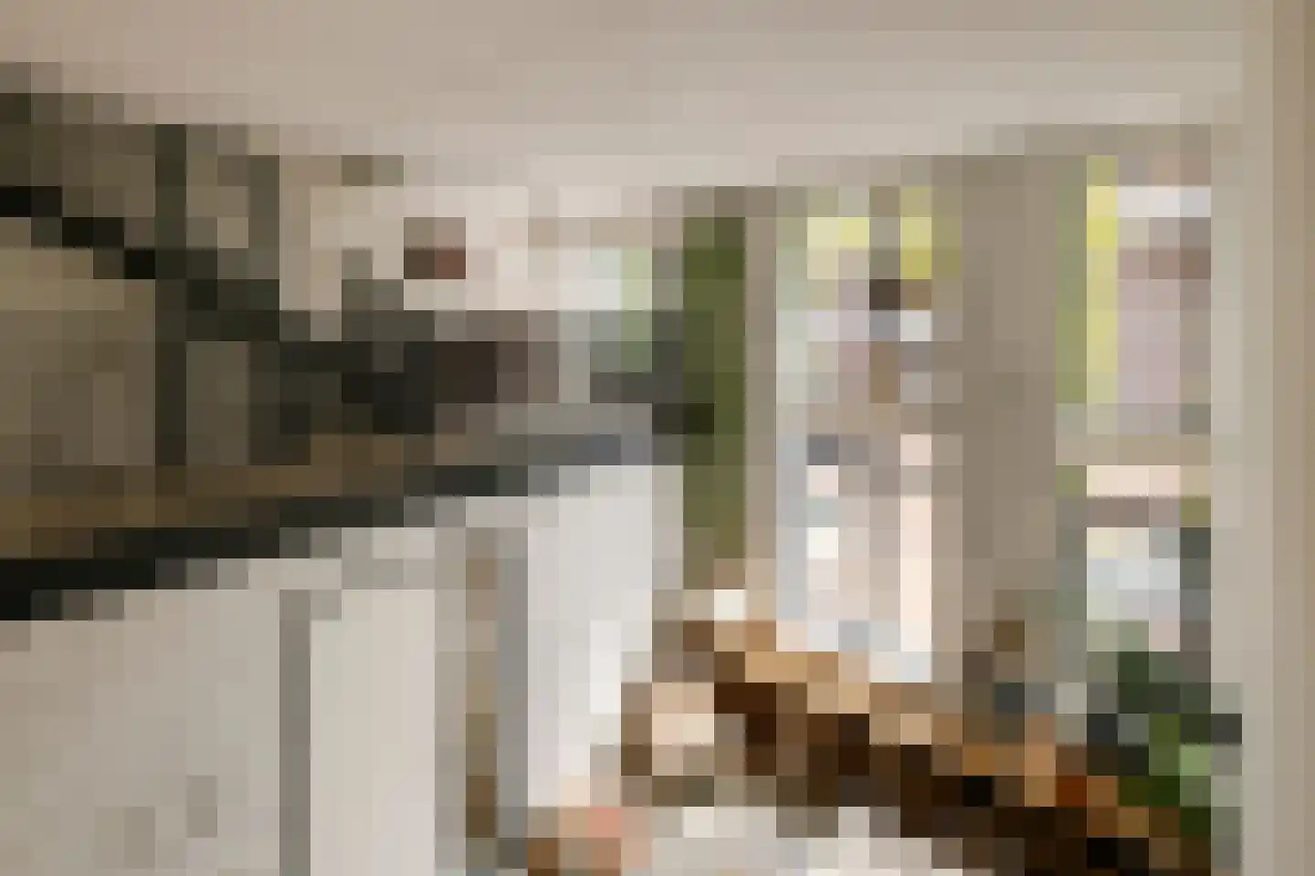 Harmenjansweg 89 Haarlem thumbnail 4